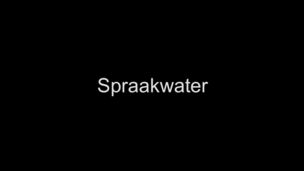 Spraakwater